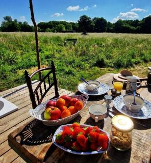 Strackxhoeve Yurt 'Haardpeer' - 5
