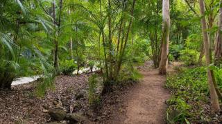 Hunchy Hideaway - 2