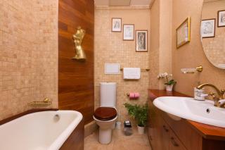 Classic elegant Studio - calea victoriei - pumo properties - 1