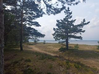 Spacious Apartment in Loksa Near The Sea - 5