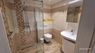 Apartmán Vejminek Boží Dar - 6