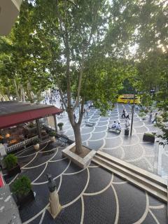 Vip Downtown Sultan in Nizami - 7