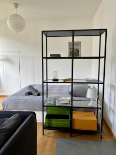 Luxury Apartment in Central Geneva - 7