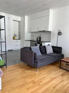 Luxury Apartment in Central Geneva - 4