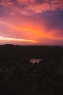 Family-friendly, secluded cabin with panoramic views - 8