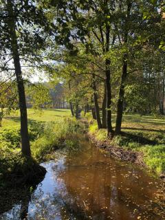 Pauze silent nature retreat - 5