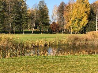 Pauze silent nature retreat - 3