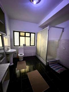 Bright and comfortable appartement in Addis-Abeba - 2