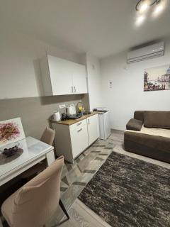 Apartment White Rose - 7