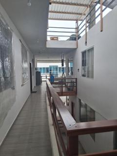 Gaviota - 2