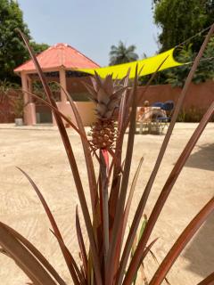 CHEZ VERO Ziguinchor AGNACK - 6