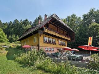 Fichtenhof am Wasserfall - 9