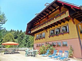Fichtenhof am Wasserfall - 0