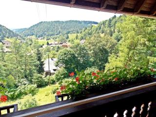 Fichtenhof am Wasserfall - 8
