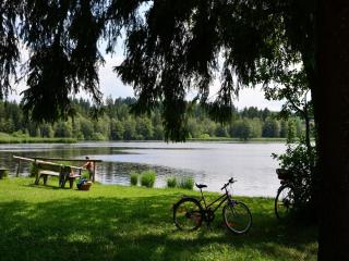 Pension Mittelallgäu - 7