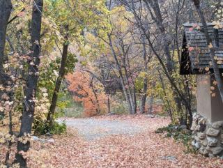 Cabin on Big Cottonwood River - 6
