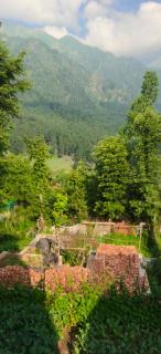 Velour Pines Pahalgam - 4