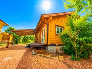 SAUNA Log Cabin オーガスタハウス君津 - 9