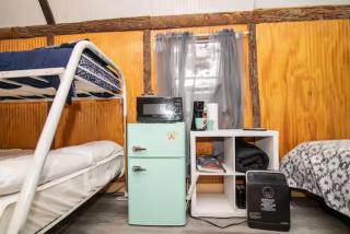Hunter2 Cabin at Crater Diamonds - 2