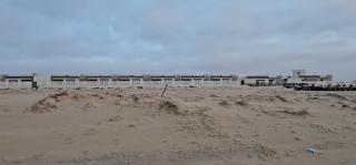 AlSeef 161 - 3