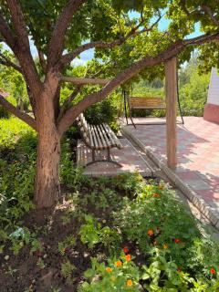 Roza Guest House - 9