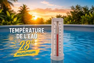 Kaz A Doudou La - 2 étoiles - Havre tropical avec piscine privative - 6