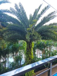 MBC Condotel May Khao Beach - 5