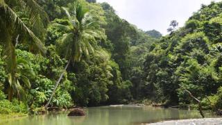 Corcovado House #2-Near Corcovado National Park - 1