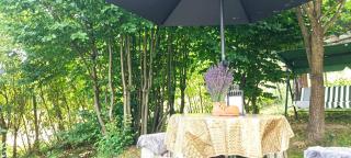 Forest Hide Tiny House - Covasna - 7