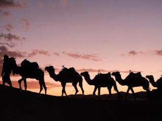 Merzouga Golden Dunes Camp - 6