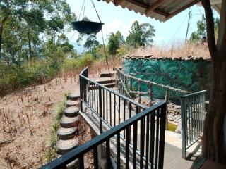 Cool Fine Forest Inn - 4