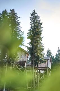 Baumhotel - 4