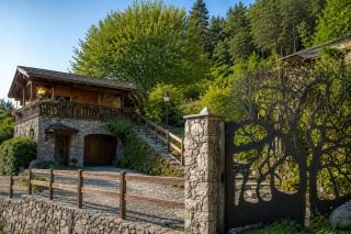 Chaletdellalbero - 0
