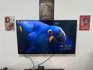 Casa no Centro, 3 Camas, Garagem, Netflix e Amazon Prime - 1