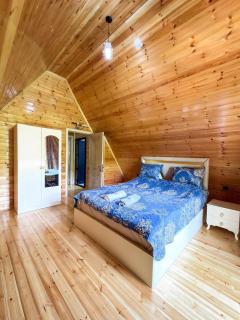Lerik Forest House - 3