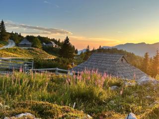 Koča Velika Planina - Chalet Kamrica - 4