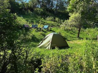 Dikaya Soap Farm - 7