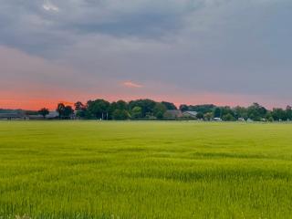 Cozy house in beautiful rural area! - 0