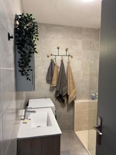 Le Colloud - T2 moderne proche centre et lac balcon garage - 5