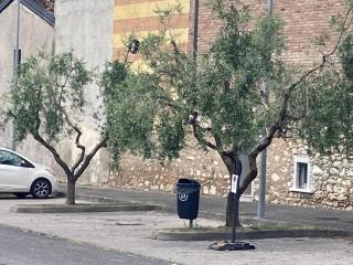 Franciacorta Inn Homestay - 6