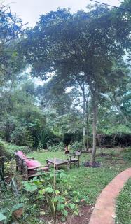 Boutique Safari Ngong House Tree House Moja - 3