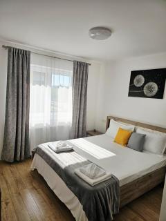 Coresi Apartament Sunflower - 0