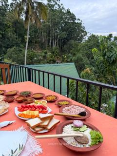 New Green View Guest House Ella - 5