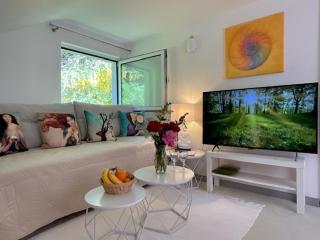 Goldregen - wood-burning stove, forest and starry sky - 0