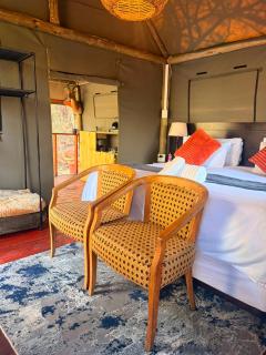 Mountain Spa Lodge luxury tent resort - 4