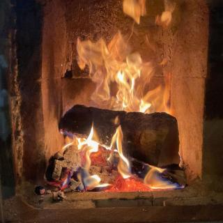 Goldregen - wood-burning stove, forest and starry sky - 7