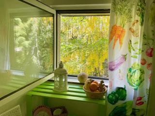 Goldregen - Mitten im Wald, Ruhe und Komfort, Holzofen - 1