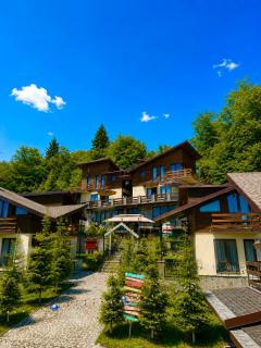 7 Cottage in Bakuriani - Bakuriani - 4