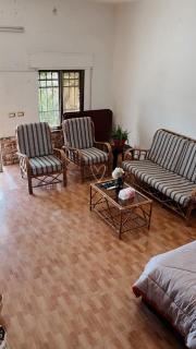 Forest farm - 8