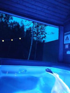 Tinyhouse direkt am See Angeln Ruderboot SUP Spa Sauna und Hot Tub - 3